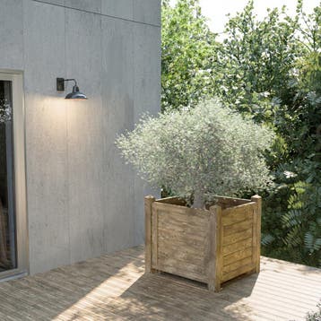 Plantenbak XL Olijfboom Olivier 100 x 100 x 100 cm, Verzenden, Nieuw, Hout, Tuin