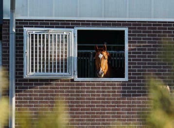 Stalraam | stalramen | stalluik | stalraam voor paardenstal, Stalling