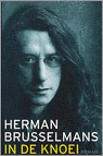 In de knoei 9789085191124 Herman Brusselmans, Boeken, Verzenden, Gelezen, Herman Brusselmans
