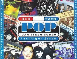 cd - Various - Pop Van Eigen Bodem - Tachtiger Jaren, Cd's en Dvd's, Cd's | Overige Cd's, Zo goed als nieuw, Verzenden