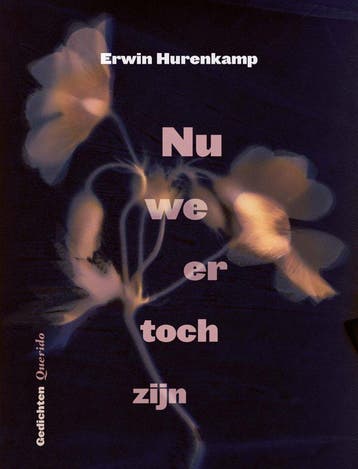 Nu we er toch zijn (Nieuw), Boeken, Verzenden, Nieuw, Erwin Hurenkamp