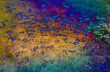 Viet Ha Tran - Shades of Dreams XIV