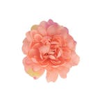 Haarspeld Duckklem 5cm – Haarbloem – Geel Perzik Roze, Nieuw