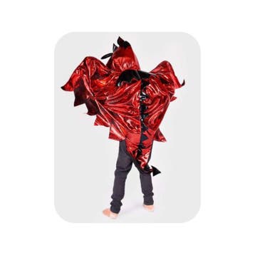 Den Goda Fen drakenkostuum cape met van €29,99 voor €23,99, Ophalen of Verzenden, Nieuw