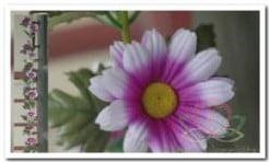 Gerbera Wit/Paars Zijdenbloemguirlande per stuk, Ophalen of Verzenden, Nieuw