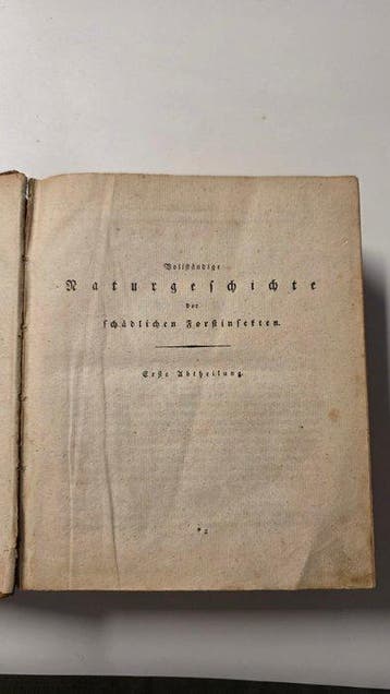Johann Matthäus Bechstein und Georg Ludwig Scharfenberg -