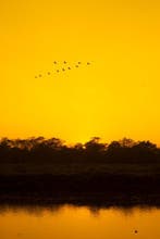 Viet Ha Tran - Sunset in Chitwan