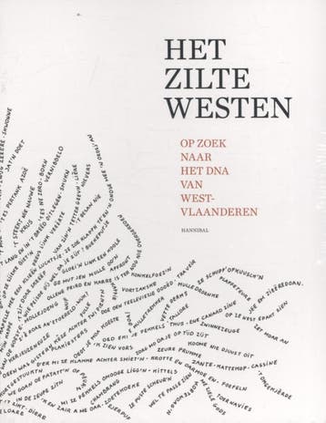 Het zilte westen 9789492081025, Verzenden, Gelezen