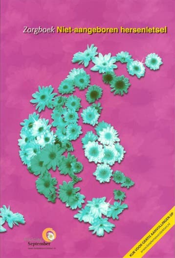 Niet-aangeboren hersenletsel / Zorgboeken 9789086480418, Boeken, Verzenden, Gelezen