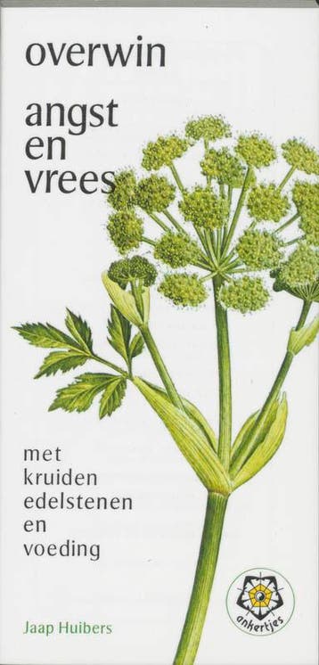 Overwin angst en vrees / Ankertjes / 26 9789020205800, Verzenden, Gelezen, J. Huibers