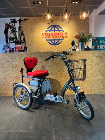 Van Raam Easy Go scootmobiel & fiets in één 880 Wh accu, Ophalen of Verzenden, Zo goed als nieuw