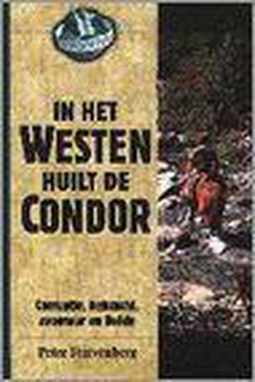 IN HET WESTEN HUILT DE CONDOR - P. Stuivenberg 9789038904894, Verzenden, Gelezen, P. Stuivenberg