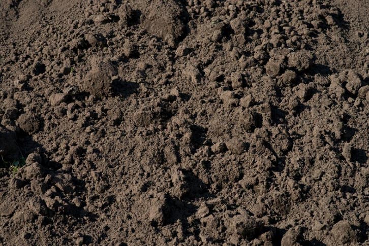 Zwarte gezeefde grond LEVERING HEEL WEST-BRABANT, Tuin en Terras, Zand, Overige typen, Nieuw, Ophalen of Verzenden
