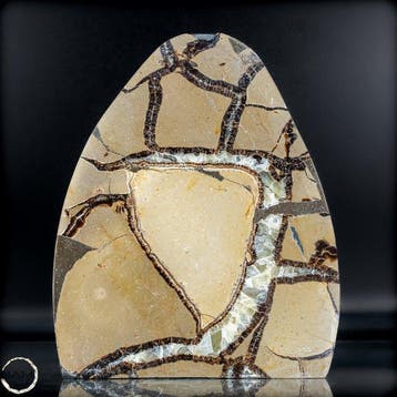 Septarien vrije vorm met druse – natuurlijke structuur