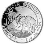 Somalische Olifant 1 oz 2017, Verzenden, Overige landen, Losse munt, Zilver