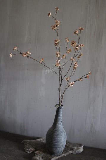 Brynxz grande Cornus old brown 110 cm, Ophalen of Verzenden, Nieuw