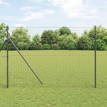 vidaXL Euro Hek 1,6 x 10 m PVC-gecoat ijzer Zwart, Verzenden, Nieuw, IJzer