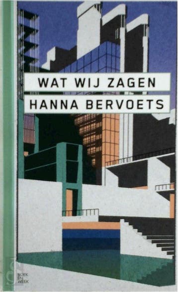 Wat wij zagen - Hanna Bervoets - Hanna Bervoets, Verzenden, Zo goed als nieuw, Hanna Bervoets