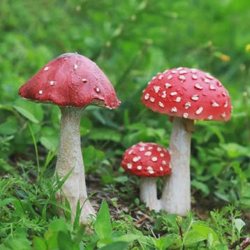 Set van Decoratieve Paddenstoelen Beeldjes - Hars Tuindecora, Verzenden, Nieuw