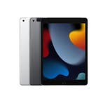 Refurbished iPad 2021 256 GB 4G, Computers en Software, Apple iPads, 10 inch, Refurbished, Grijs, Wi-Fi en Mobiel internet
