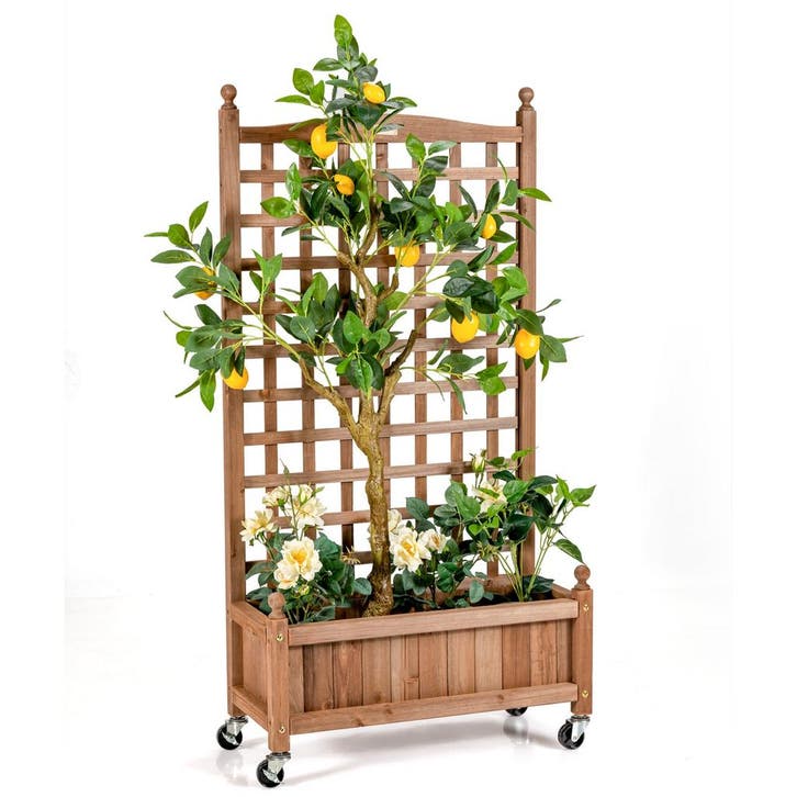 LIVSK Plantenbak met Klimsteun op Wielen - Diepe Plantenbak, Tuin en Terras, Bielzen en Borders, Nieuw, Verzenden
