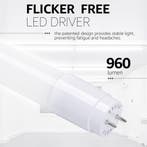 LED TL Buis - T8 G13 - Velvalux - 60cm - 8W 960lm - 840, Ophalen of Verzenden, Nieuw