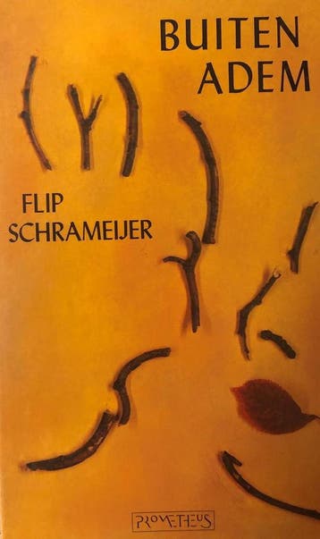 Buiten adem - Schrameyer 9789053331125, Verzenden, Gelezen, Schrameyer