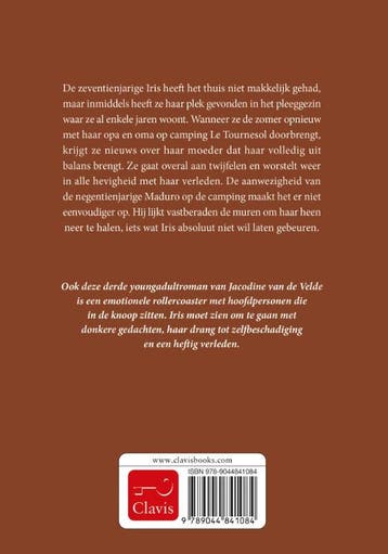 Steen voor steen 9789044841084 Jacodine van de Velde, Verzenden, Gelezen, Jacodine van de Velde