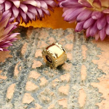 Pandora bedel; Goud; Stopper (Hanger of bedel), Sieraden, Tassen en Uiterlijk, Bedels, Ophalen of Verzenden, Gebruikt, Goud, Overige merken