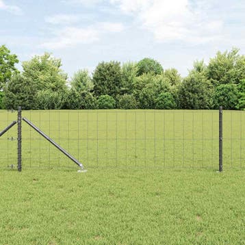 vidaXL Euro-hek met grondpennen 10 x 0,8 m PVC-Coated Staal, Verzenden, Nieuw, IJzer