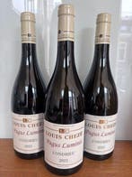 2023 Louis Cheze Pagus Luminis - Condrieu - 3 Flessen (0.75, Nieuw