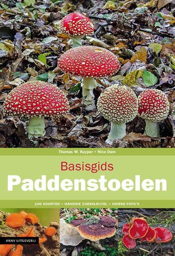 Basisgids Paddenstoelen | Nico Dam; Thomas W. Kuyper | Nieuw, Ophalen of Verzenden, Nieuw, Nico Dam; Thomas W. Kuyper