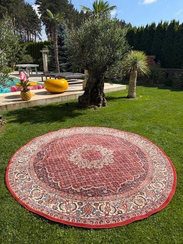 Indo Bidjar Tapijt - Tapijt - 240 cm - 240 cm, Nieuw