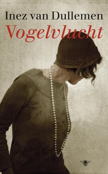 Vogelvlucht | Inez Dullemen | Nieuw, Boeken, Ophalen of Verzenden, Nieuw, Inez Dullemen
