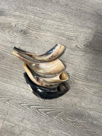 Antiek Judaica (4) - Hoorn - 4 kleine shofars, Antiek en Kunst