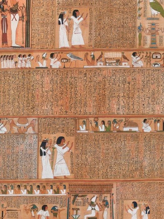 5,70 x 1,40 meter Replica van het Oude Egyptische - PAPYRUS, Verzamelen, Mineralen en Fossielen