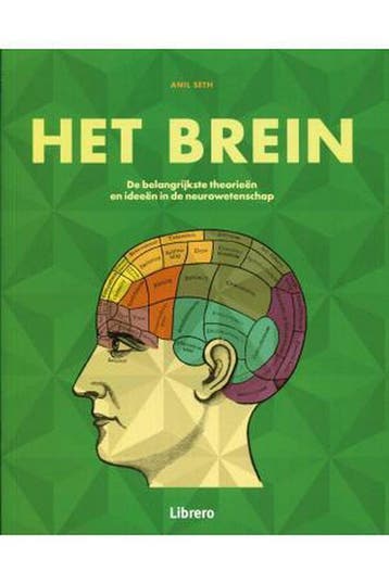 Het brein in 30 seconden - Anil Seth 9789463590495, Verzenden, Zo goed als nieuw, Anil Seth