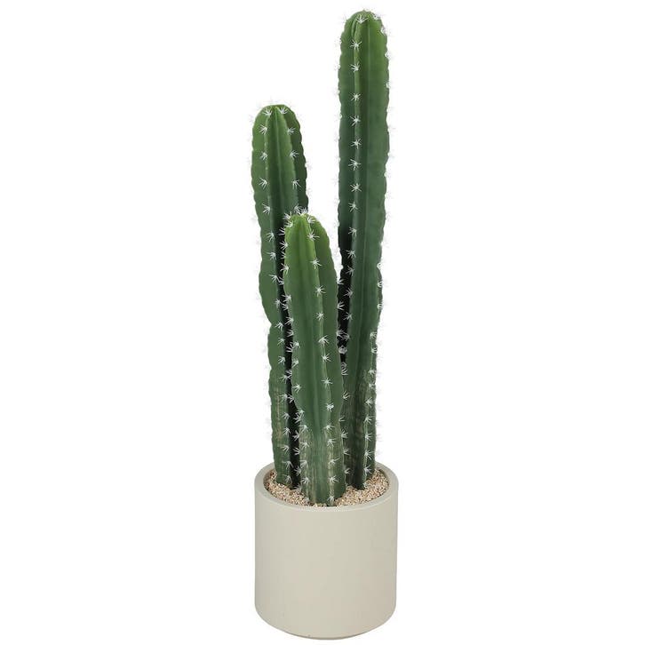 Kunstplant Cactus Grote Plant 95 Cm Met Pot Als Echt Voor Th, Huis en Inrichting, Woonaccessoires | Vazen, Nieuw, Verzenden
