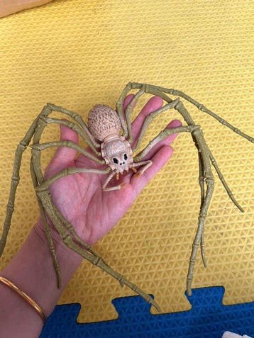 unknown - Speelgoed Giant spider toy