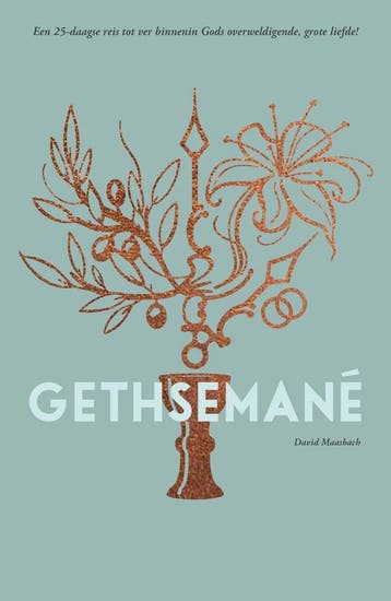 Gethsemané / Zoek & vind - David Maasbach 9789064422461, Boeken, Verzenden, Zo goed als nieuw, David Maasbach