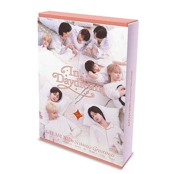 kpop merchandise - &amp;team =calendar= - In a daydream (..., Verzamelen, Verzenden, Zo goed als nieuw