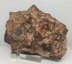 Canyon Diablo (VS, 50.000 jaar). Natuurlijke patina, zoals