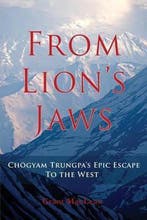 From Lions Jaws 9780995029309 Grant Maclean, Verzenden, Gelezen, Grant Maclean
