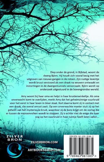 Drakenkruid 9789463081085 Jeroen Vreijling, Boeken, Verzenden, Gelezen, Jeroen Vreijling