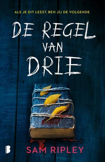 De regel van drie - S. Ripley 9789049202811, Verzenden, Gelezen, S. Ripley