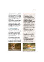 Kijk eens naar je hond 9789492500885 Monique Bladder, Boeken, Verzenden, Zo goed als nieuw, Monique Bladder