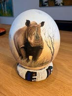 Struisvogel Ei - unbekannt - 16 cm - 13 cm - 13 cm - (1)