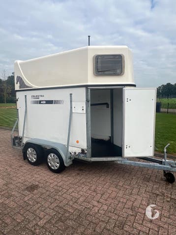 Leuke Wesco 1,5 paards paardentrailer!, Ophalen, Zo goed als nieuw, Hout, 1½-paards trailer
