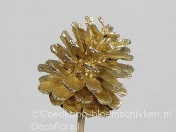 Dennenappels op draad/stick grootverpakking goud doos ca., Ophalen of Verzenden, Nieuw