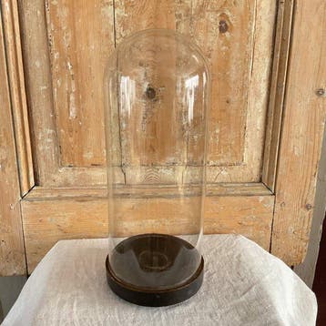 Antieke glazen bol / cloche / tentoonstellingsdome op houten